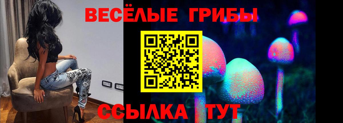 Кизилюрт  Псилоцибиновые грибы GOLDEN TEACHER  дарнет шоп  Вход с VPN 